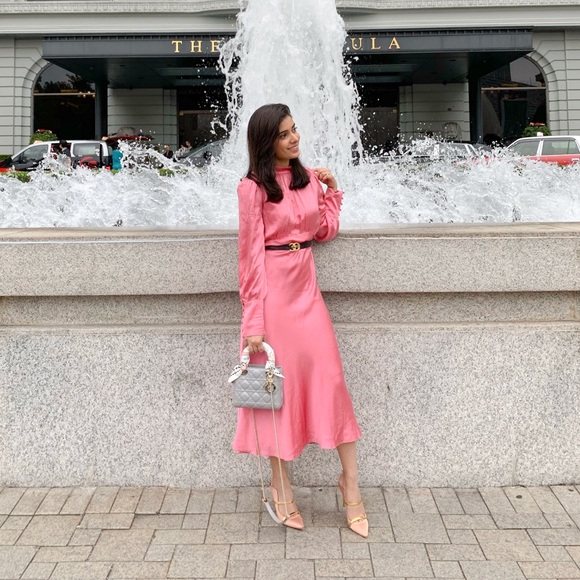 veronica beard elsie dress